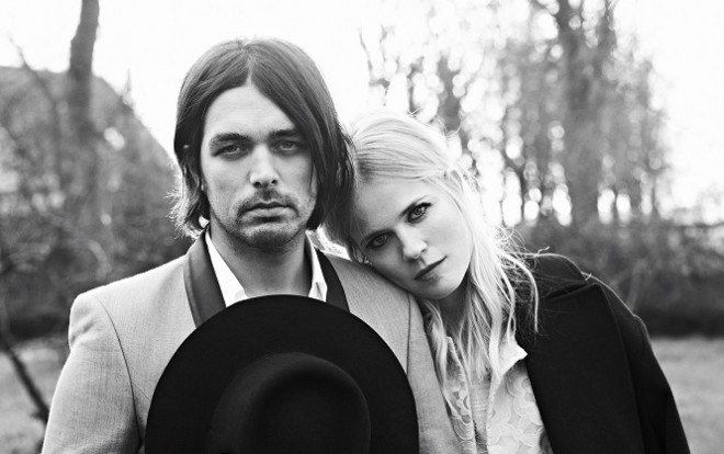 The Common linnets 3